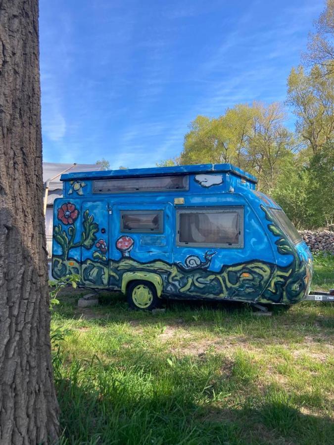 Camping Rogowo Mrzeżyno Δωμάτιο φωτογραφία