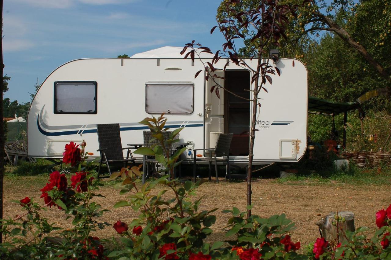 Camping Rogowo Mrzeżyno Εξωτερικό φωτογραφία