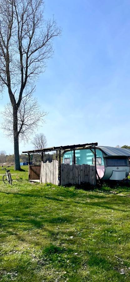 Camping Rogowo Mrzeżyno Εξωτερικό φωτογραφία