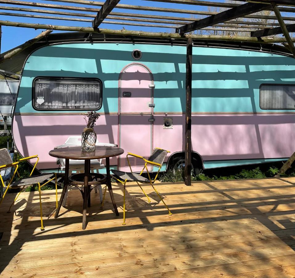 Camping Rogowo Mrzeżyno Εξωτερικό φωτογραφία