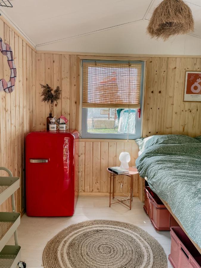 Camping Rogowo Mrzeżyno Εξωτερικό φωτογραφία